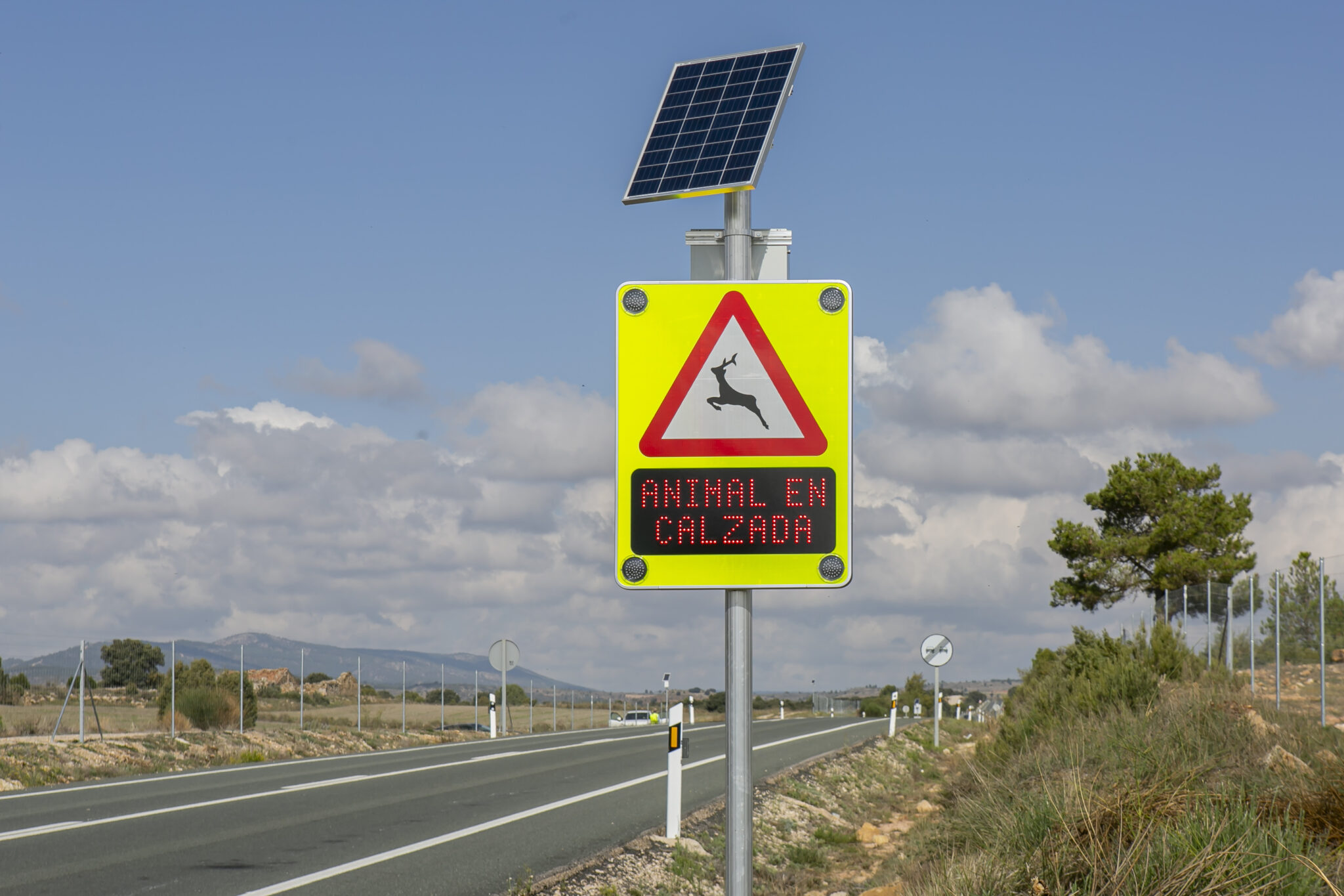 ¿Qué son esos misteriosos postes altos y blancos a lo largo de la N-631?